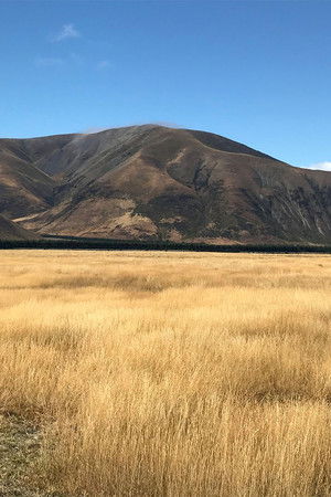 Floortje naar het einde van de wereld