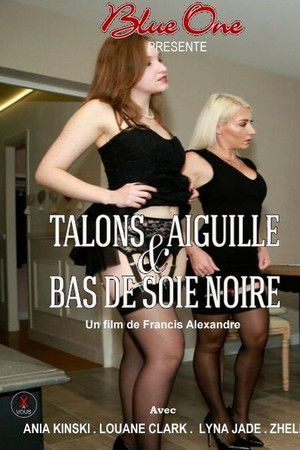 Talons aiguille et bas de soie noire