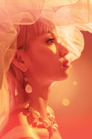 梅艷芳：導演版