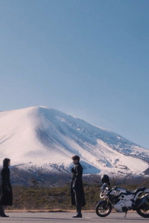 シン・仮面ライダー 各話フォーマット版