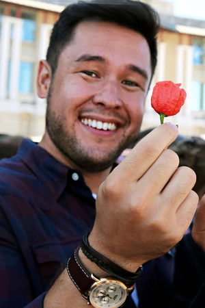 Yiyeceğinizin Sırları