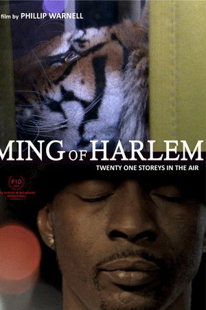 Ming of Harlem: Twenty One Storeys in the Air