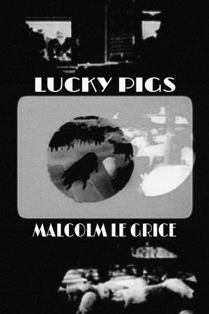 Lucky Pigs