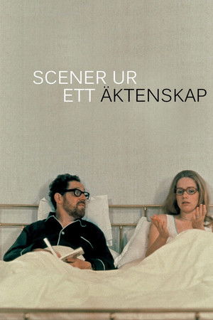 Bir Evlilikten Manzaralar