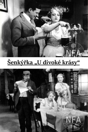 Šenkýřka „U divoké krásy“