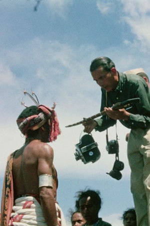 O Voo do Crocodilo - O Timor de Ruy Cinatti