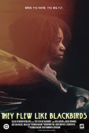 They Flew Like Blackbirds