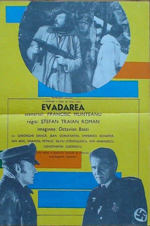 Evadarea