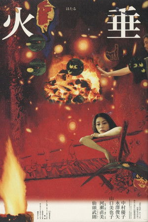 火垂