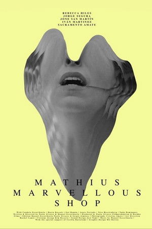 Mathius Marvellous Shop