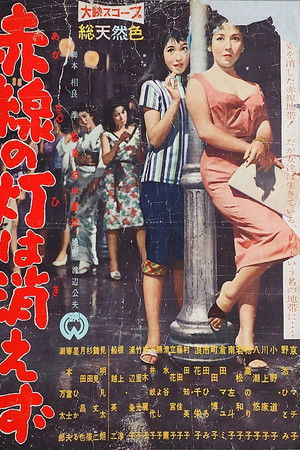 赤線の灯は消えず