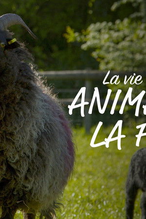 Wild Tales from the Farm