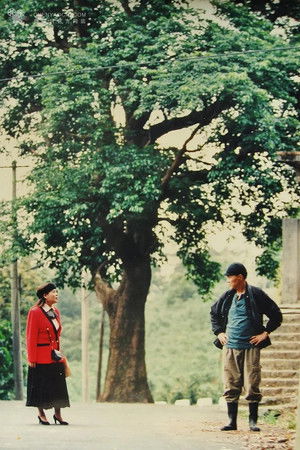 我的一票選總統