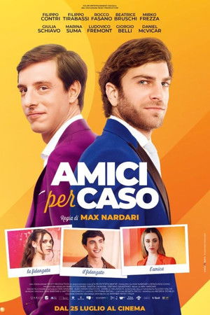 Amici per caso