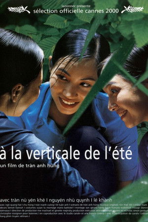 Güneşin Dikey Işınları