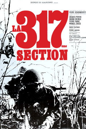 La 317ème Section
