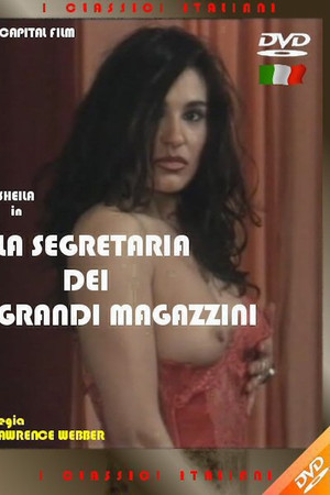 La segretaria dei grandi magazzini