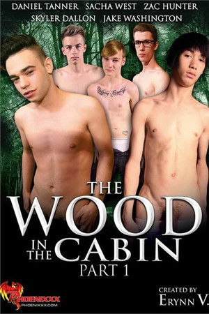The Wood in the Cabin 1