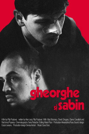 Gheorghe și Sabin