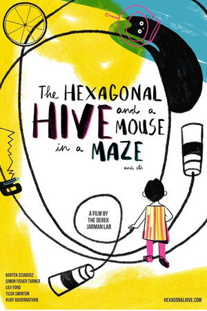 The Hexagonal Hive and a Mouse in a Maze