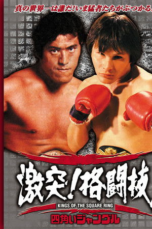 四角いジャングル 激突！格闘技