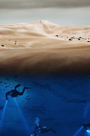 Australia's Wild Odyssey