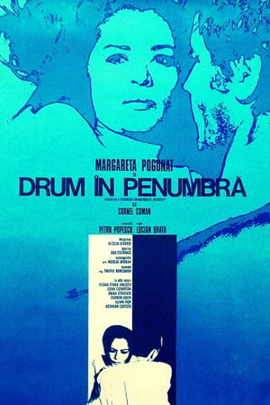 Drum în penumbră