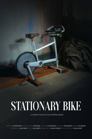Stationary Bike