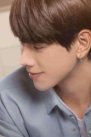 รักไม่รู้ภาษา