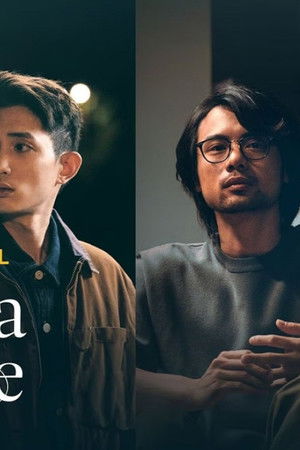 十七年命運週期