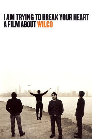 I Am Trying to Break Your Heart: A Film About Wilco