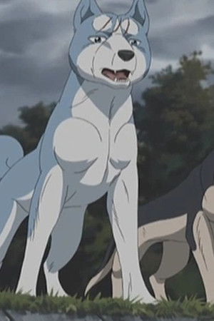 銀牙伝説ウィード