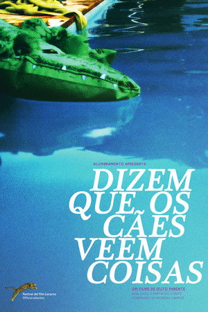 Dizem que os cães veem coisas