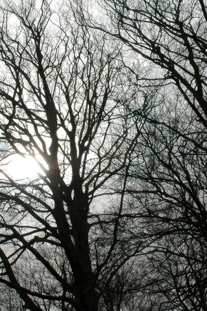 Tales from the Darkside