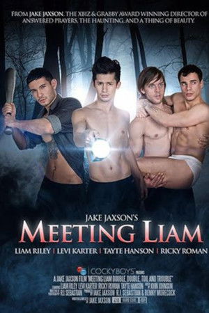 Meeting Liam