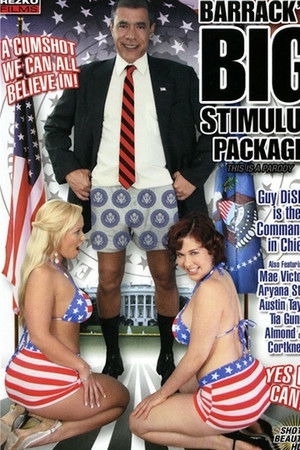 Barrack's Big Stimulus Package