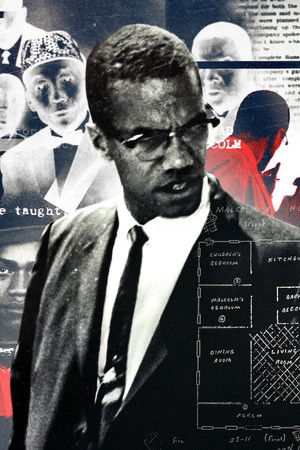 Who Killed Malcolm X?