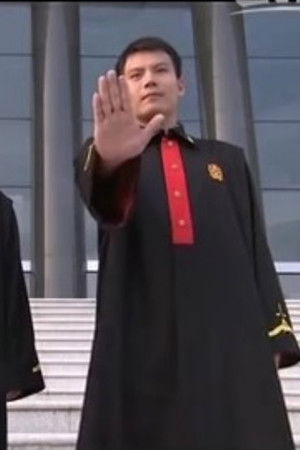 中国反家暴纪事