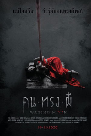 คน ทรง ผี