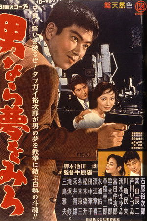 男なら夢をみろ