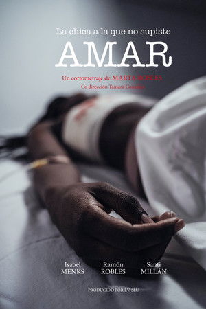 La chica a la que no supiste amar