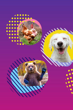 America's Funniest Home Videos: Animal Edition