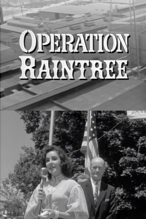 Operation Raintree