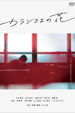 カランコエの花