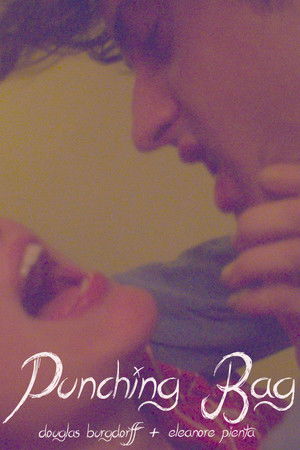 Punching Bag