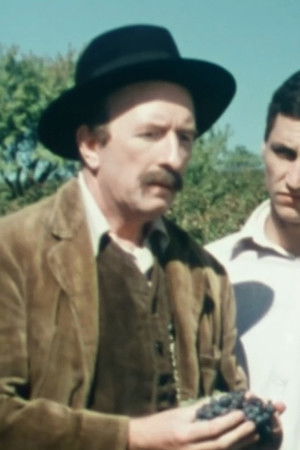 Ces grappes de ma vigne