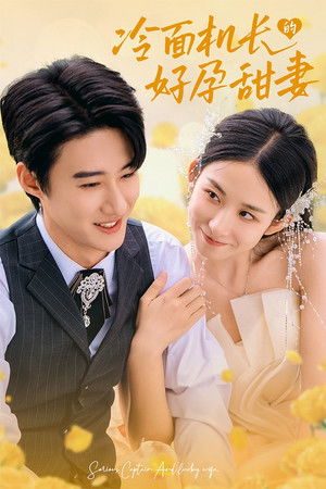 冷面机长的好孕甜妻