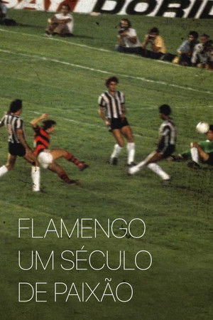 Flamengo: Um Século de Paixão
