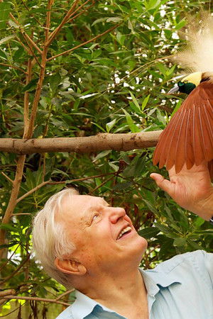 Attenborough in Paradise