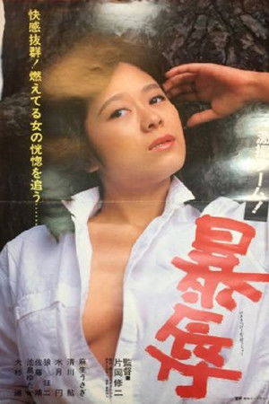 激撮ゲーム！ 暴辱